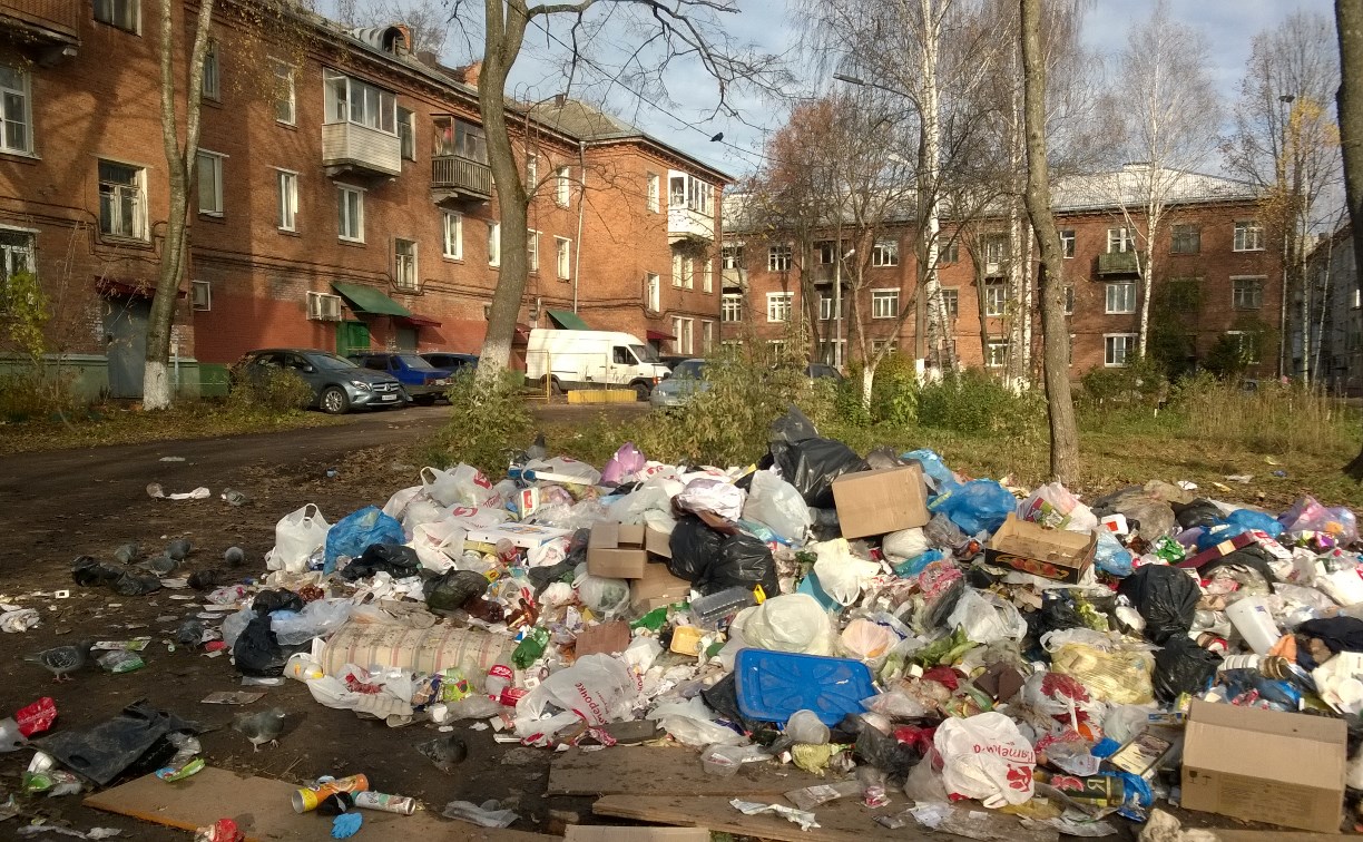 Тульских коммунальщиков оштрафовали за мусор во дворах
