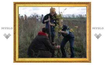 Тульские школьники посадили лес