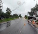 В Тульской области в страшном ДТП с грузовиком погиб мужчина