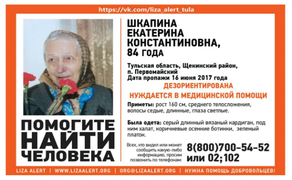 В Щёкинском районе пропала пенсионерка