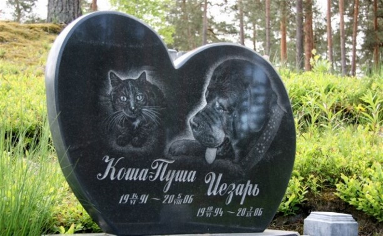 Кладбища домашних животных в Новомосковске оказались вне закона