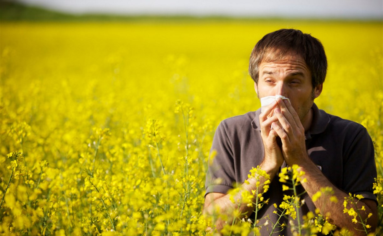 На Яндекс.Погоде появилась карта пыльцы для аллергиков Тулы