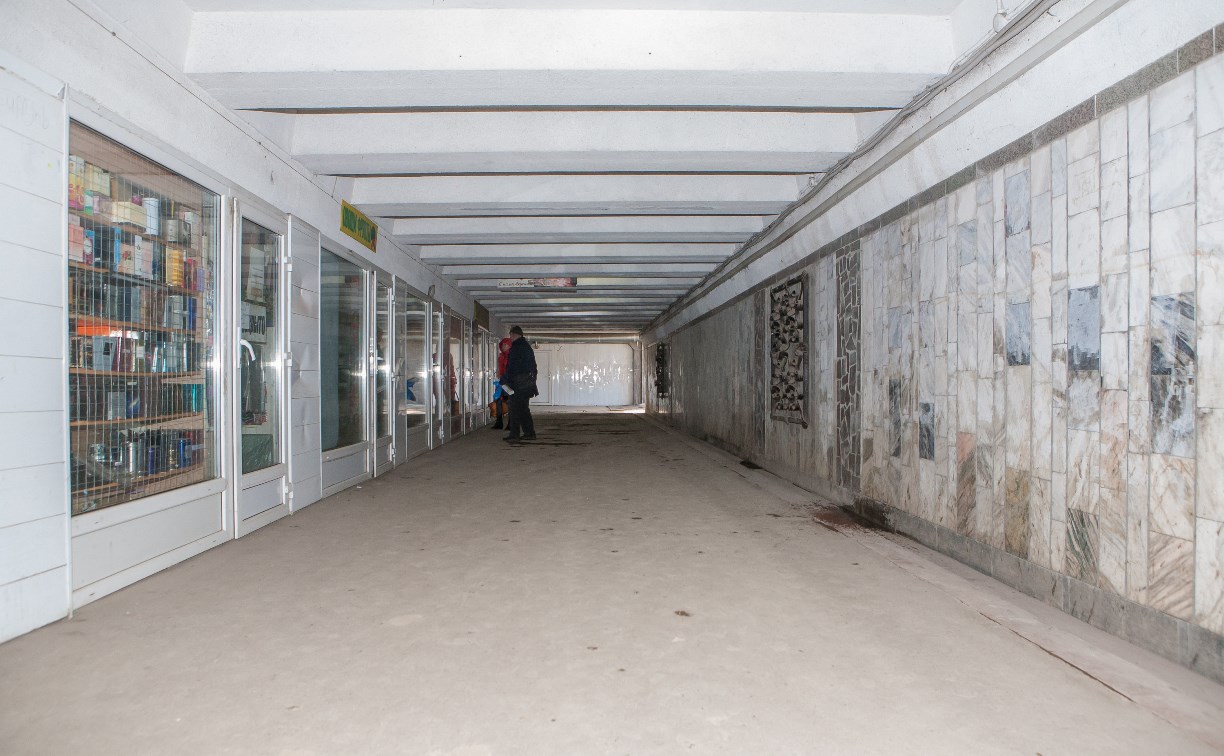 В Туле подземный переход на ул. Мосина отремонтируют ко Дню города