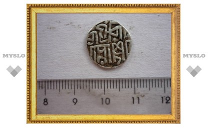 На Куликовом поле нашли золотоордынскую монету