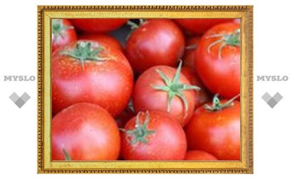 Американские эксперты не верят в антираковые свойства помидоров