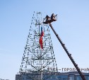 В Туле на площади Ленина устанавливают главную новогоднюю ёлку