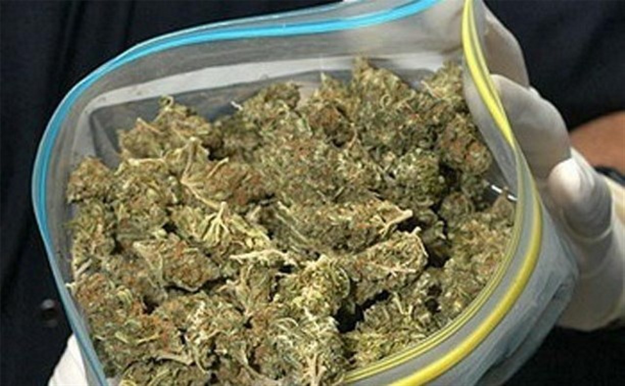 Житель Плавска хранил дома 4,5 килограмма марихуаны