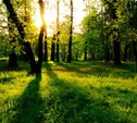 В Тульской области создадут национальный парк «Тульские засеки»