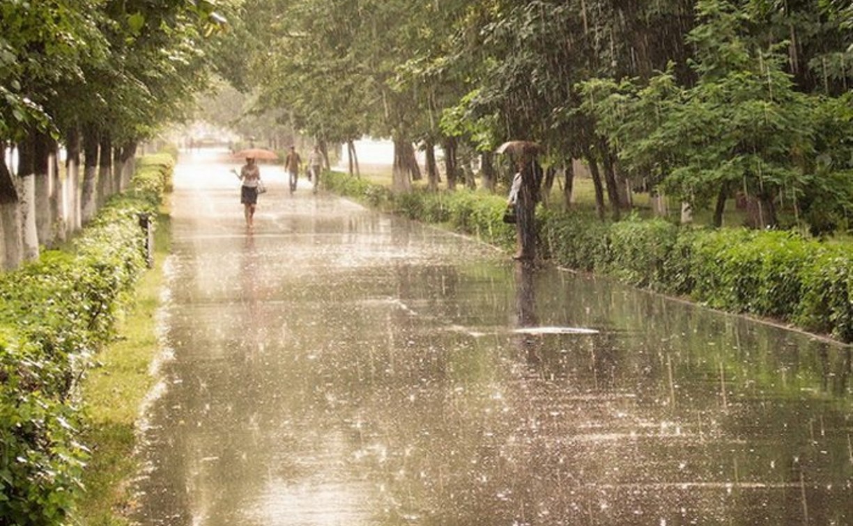 Погода в Туле 20 июля: тепло, облачно, небольшой дождь