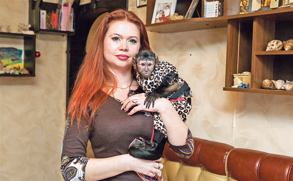 Экзотическое животное в городской квартире: у тулячки дома живет обезьяна капуцин
