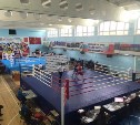 Тульские боксеры завоевали 13 медалей на Всероссийском турнире