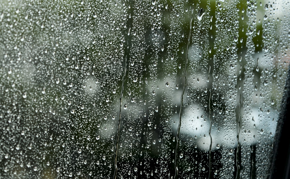 В Туле 19 июля дождь, грозы и сильный ветер