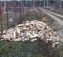 Житель Тульской области отправится в тюрьму за кражу дров