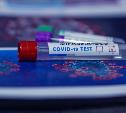 В Тульскую область хотят закупить экспресс-тесты на коронавирус