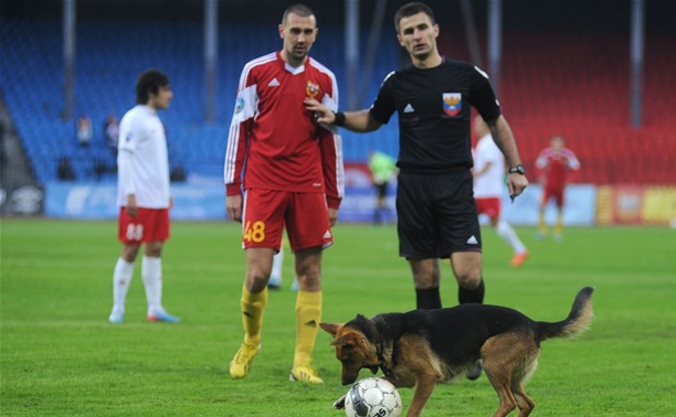 "Арсенал" оштрафуют за собаку на поле