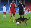 "Арсенал" оштрафуют за собаку на поле