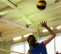 В Туле стартовал женский турнир волейболисток