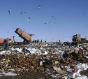 Под Тулой собственника земли оштрафовали за свалку мусора в поле