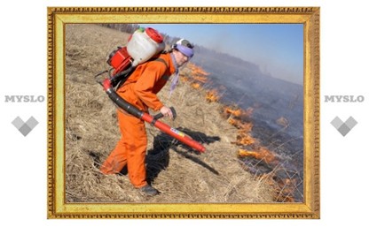 В Тульской области начались полевые пожары