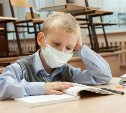 В трёх школах Тульской области объявлен карантин по ОРВИ и гриппу
