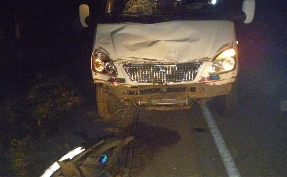В Одоеве водитель «Газели» насмерть сбил двух женщин