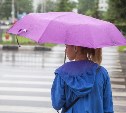 В Тульской области резко ухудшится погода