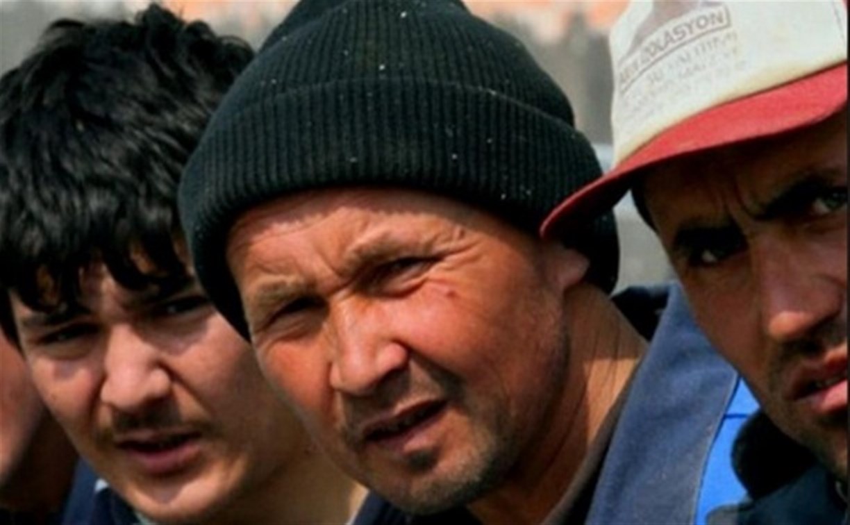 На жителя поселка Плеханово нелегально работали мигранты