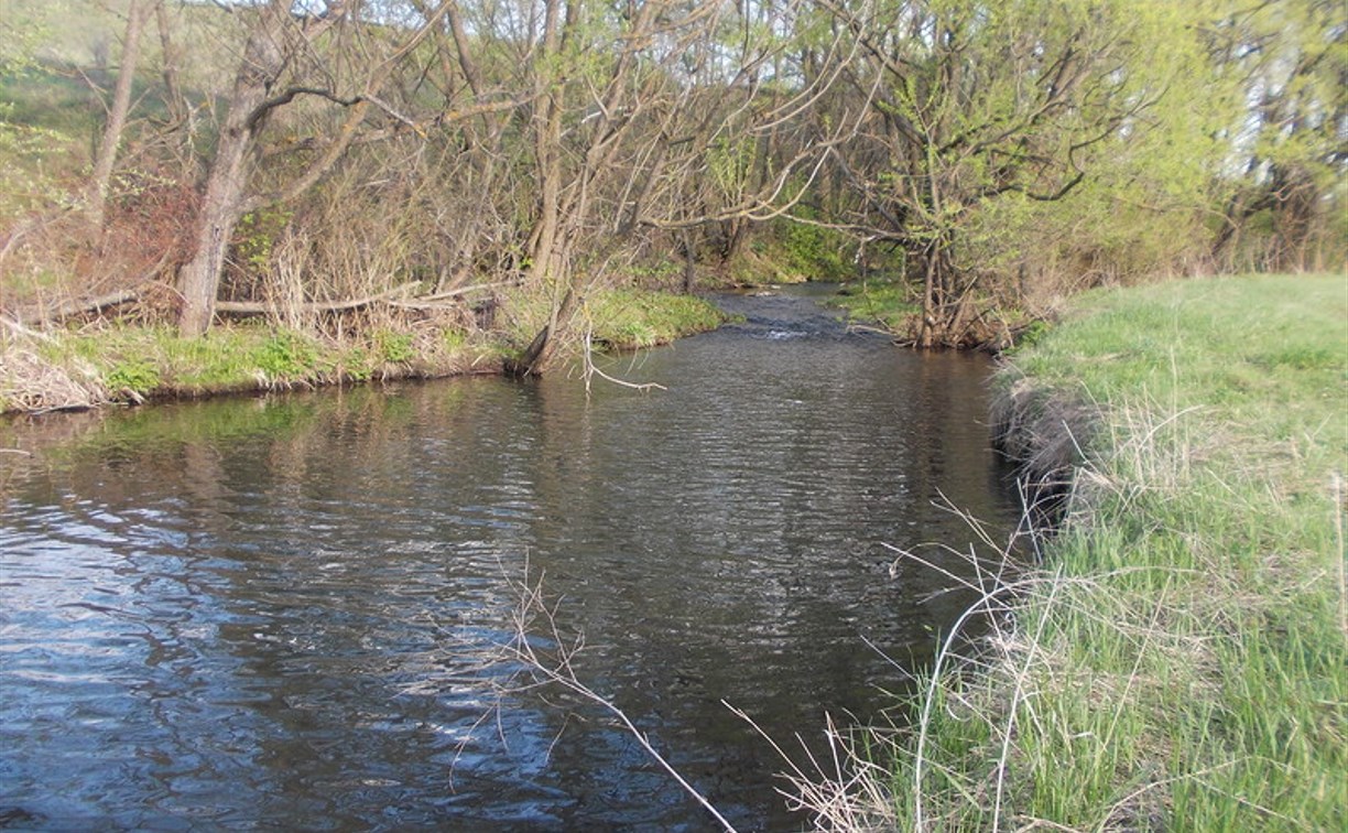 Киреевский ветсанутильзавод незаконно сбрасывал вредные вещества в реку Вьевку