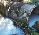 Жители Тульской области жалуются на загрязнение рек канализационными стоками