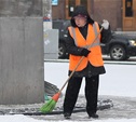В Туле ужесточили правила уборки города