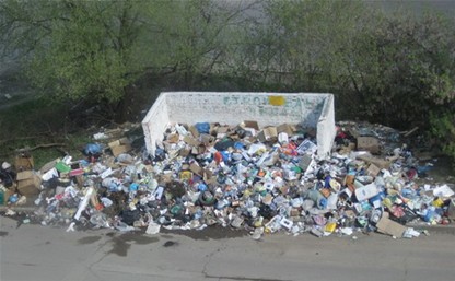 Глава муниципального образования Обидимское нашел решение "мусорной проблемы"