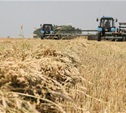 В Тульской области открылось производство по глубокой переработке пшеницы