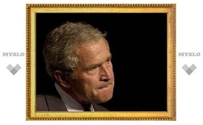 Канадские пацифисты забросали портрет Буша ботинками