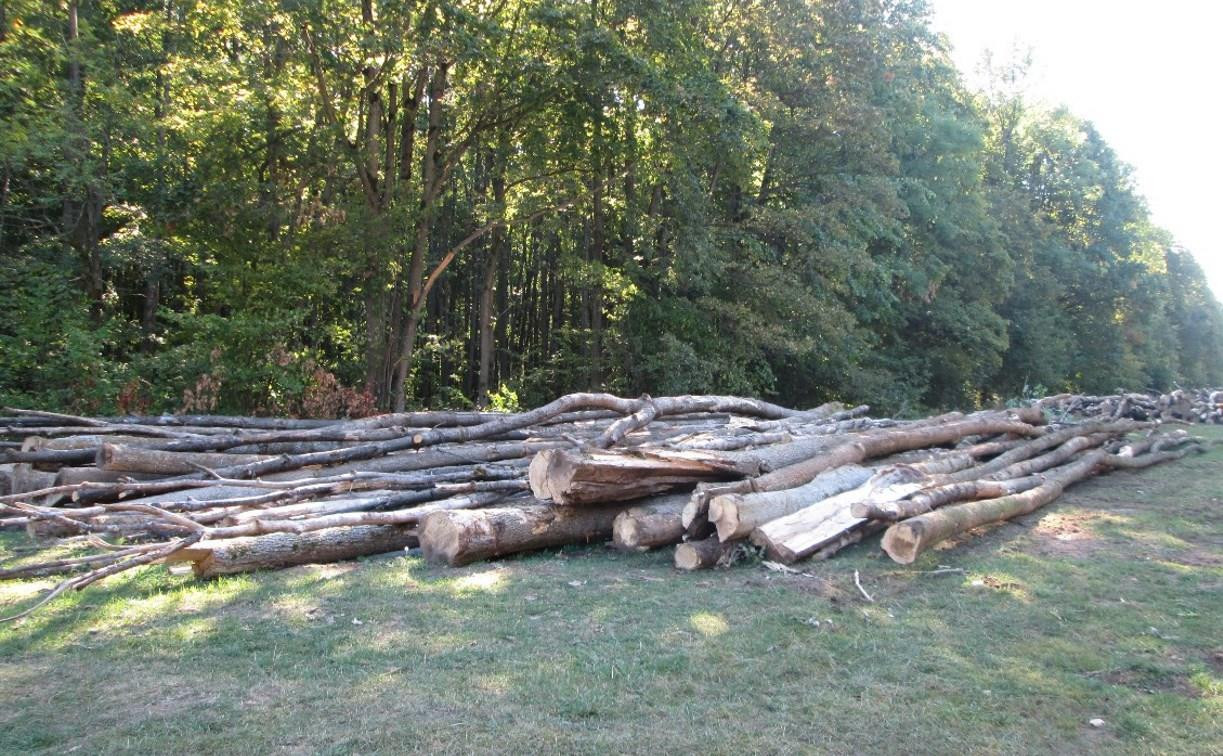Долги за аренду и уголовные дела за незаконную вырубку деревьев: прокуратура проверила тульские лесничества