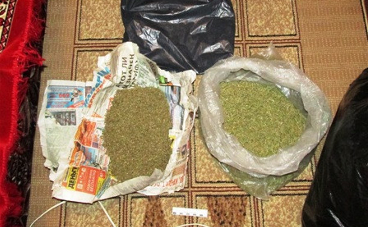 В Тульской области за два месяца из оборота изъяли 5 кг марихуаны 