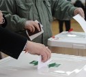 Выборы в Тульской области проходят на 19 избирательных участках