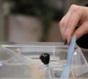 На выборах в Тульской области всё будет прозрачно: и урны, и сами выборы