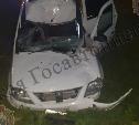 На М-2 «Крым» автомобиль Lada сбил лося: водитель госпитализирован