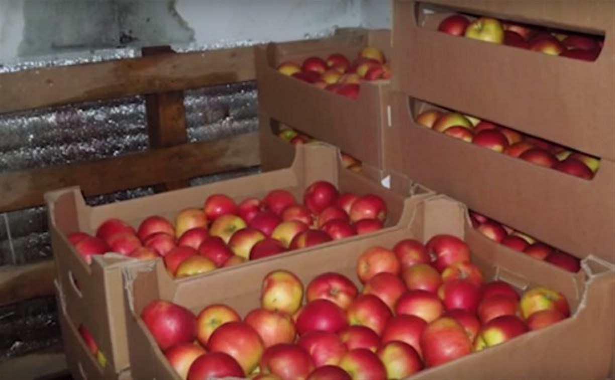 На тульской складской базе нашли 3,5 тонны санкционных фруктов и овощей