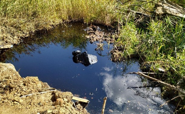 Эксперты определили класс опасности нефтепродуктов в тульском поселке