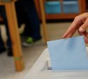 В Суворовском и Воловском районах проголосовали 56% избирателей