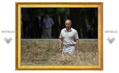 Путин запретил экспорт зерна