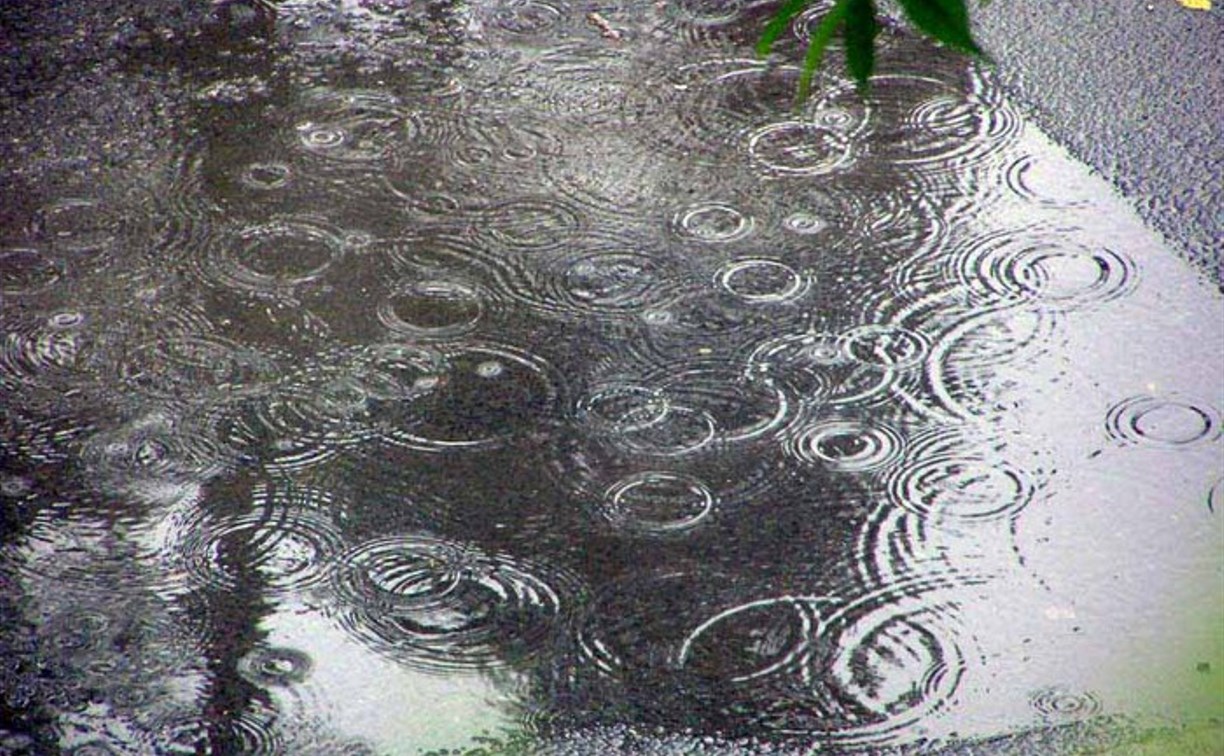 Погода в Туле 25 августа: переменная облачность, небольшой дождь