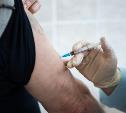 В Тульской области первую вакцинацию прошли почти 50 тысяч человек