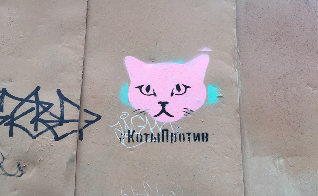 В Туле рекламу наркотиков закрасят изображениями котов