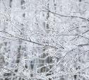 Погода в Туле 8 декабря: морозно и без осадков