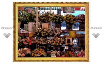 В Туле закроют цветочный рынок?