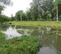 В Баташевском парке «Штамп» сбрасывал в Тулицу сточные воды