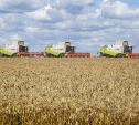 Тульская область собрала рекордный урожай зерна