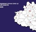 Подтвержденные случаи коронавируса в Тульской области: актуальная карта на 13 апреля